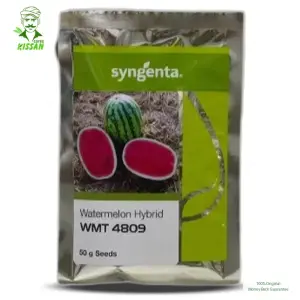 Wmt 4809 Watermelon Syngenta Long Water Melon Tori Tarbooz F1 Hybrid Seed 50gm - Syngenta Seeds - Price in Pakistan Today (تربوز) - Hybrid Seeds (Hybrid seeds Pakistan) Price in Pakistan Online | Kissan Cares