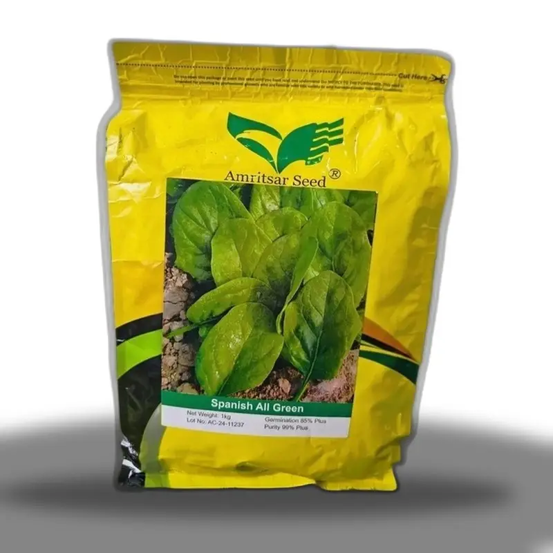 Spinach All Green Palak Amritsar Hybrid Seed 1kg - Amritsar Seed Corporation - Price In Pakistan Today (پالک) - Seeds (Spinach All Green Palak Amritsar Hybrid Seed 1kg price) Price in Pakistan Online | Kissan Cares - Application View Thumbnail