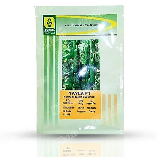 Yuksel Yayla Cucumber Vegetable Seeds Yuksel Tohem F1 Hybrid Seed - Price In Pakistan Today (کھیرا) - Hybrid Seeds (Yuksel Yayla cucumber seeds price Pakistan) Price in Pakistan Online | Kissan Cares