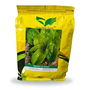 Spinach All Green Palak Amritsar Hybrid Seed 1kg - Amritsar Seed Corporation - Price In Pakistan Today (پالک) - Seeds (Spinach All Green Palak Amritsar Hybrid Seed 1kg price) Price in Pakistan Online | Kissan Cares