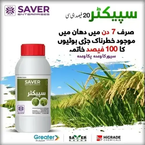 Metamifop 80 G/L + Cyhalofop Butyl 120 G/L 20EC Weedicide 300ml - Saver Enterprise - Price in Pakistan Today (چاول) - Pesticides (Kissan Cares) Price in Pakistan Online | Kissan Cares - Back View Thumbnail