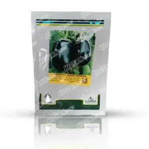 Brinjal Vegetable Seeds Kalash Seeds Pvt Ltd Hybrid Seed 10 g - Kalash Seeds pvt. Limited - Price in Pakistan Today (بیج) - Hybrid Seeds (Hybrid seeds Pakistan) Price in Pakistan Online | Kissan Cares