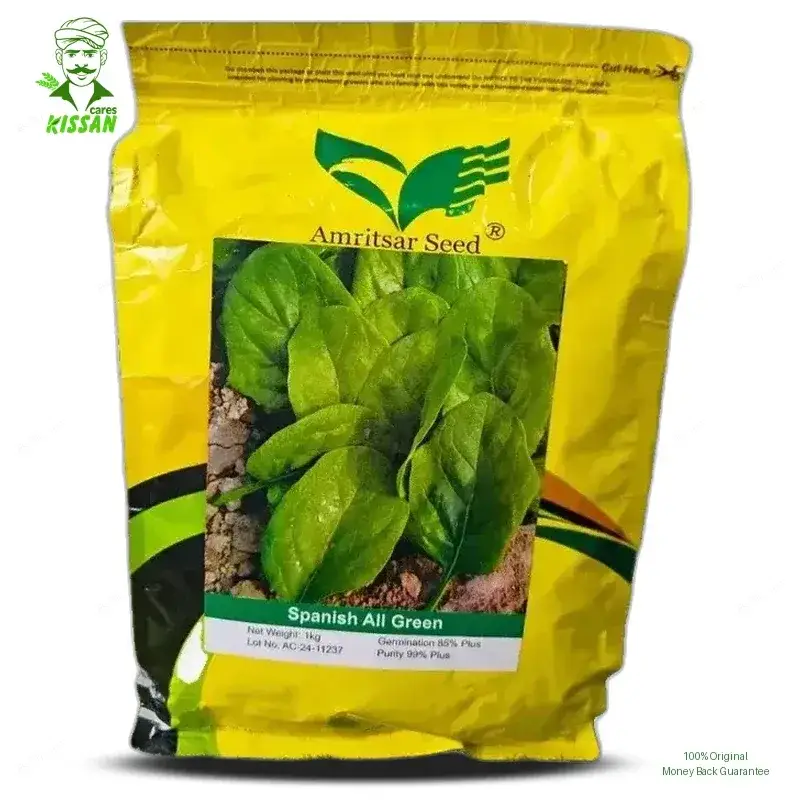 Spinach All Green Palak Amritsar Hybrid Seed 1kg - Amritsar Seed Corporation - Price In Pakistan Today (پالک) - Seeds (Spinach All Green Palak Amritsar Hybrid Seed 1kg price) Price in Pakistan Online | Kissan Cares - Label Detail Thumbnail