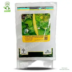 Radhika Sponge Gourd Tori Kalash Limited F1 Hybrid Seed 50 g - Kalash Seeds pvt. Limited - Price in Pakistan Today (بیج) - Hybrid Seeds (Hybrid seeds Pakistan) Price in Pakistan Online | Kissan Cares