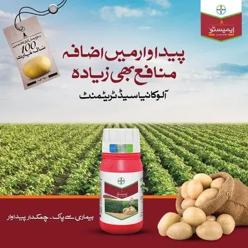 Penflufen 240fs Seed 160ml - BAYER - Price in Pakistan Today (بیج) - Pesticides (Hybrid seeds Pakistan) Price in Pakistan Online | Kissan Cares - Back View Thumbnail