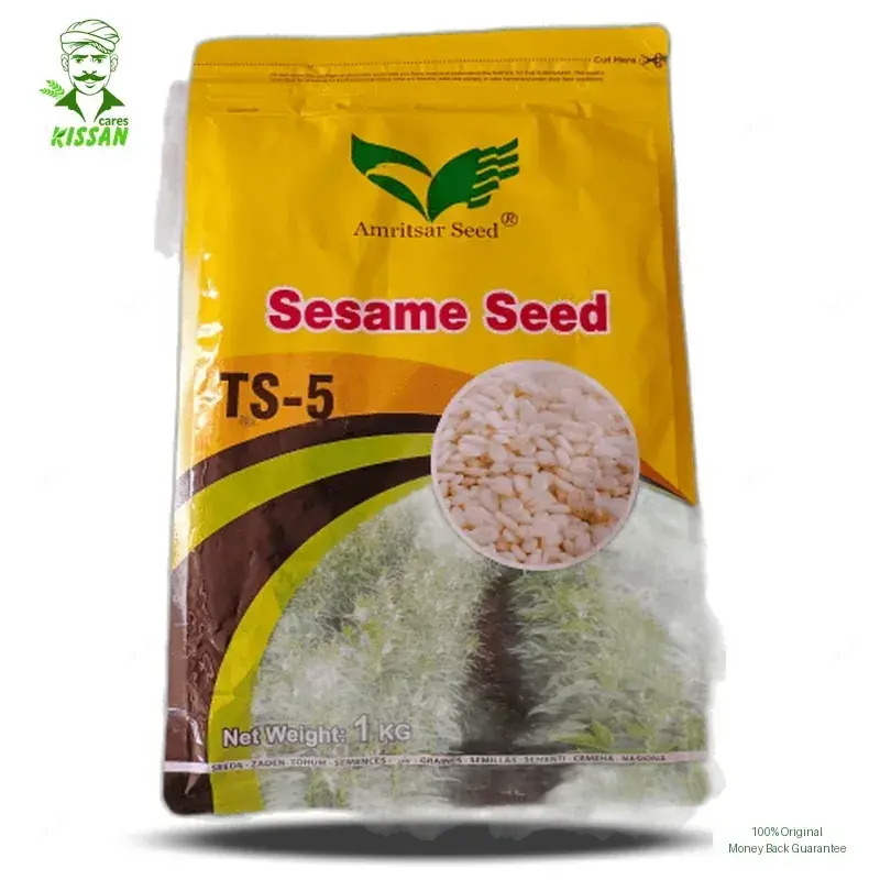 Seasame White Till Ts-5 Amritsar Corporation Hybrid Seed 1kg - Amritsar Seed Corporation - Price in Pakistan Today (تل) - Seeds (Hybrid seeds Pakistan) Price in Pakistan Online | Kissan Cares