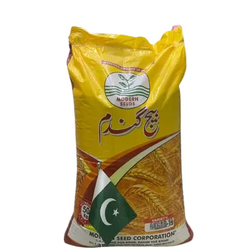 Akbar 19 Wheat Modern Corporation Hybrid Seed 50kg - KISSAN Cares - Price in Pakistan Today (گندم) - Seeds (Wheat rate today) Price in Pakistan Online | Kissan Cares