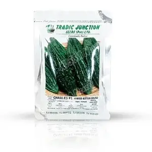 Bitter Gourd Charles Vegetable Karela F1 Hybrid Seed - Tradic Junction - Price in Pakistan Today (کریلا) - Hybrid Seeds (Hybrid seeds Pakistan) Price in Pakistan Online | Kissan Cares