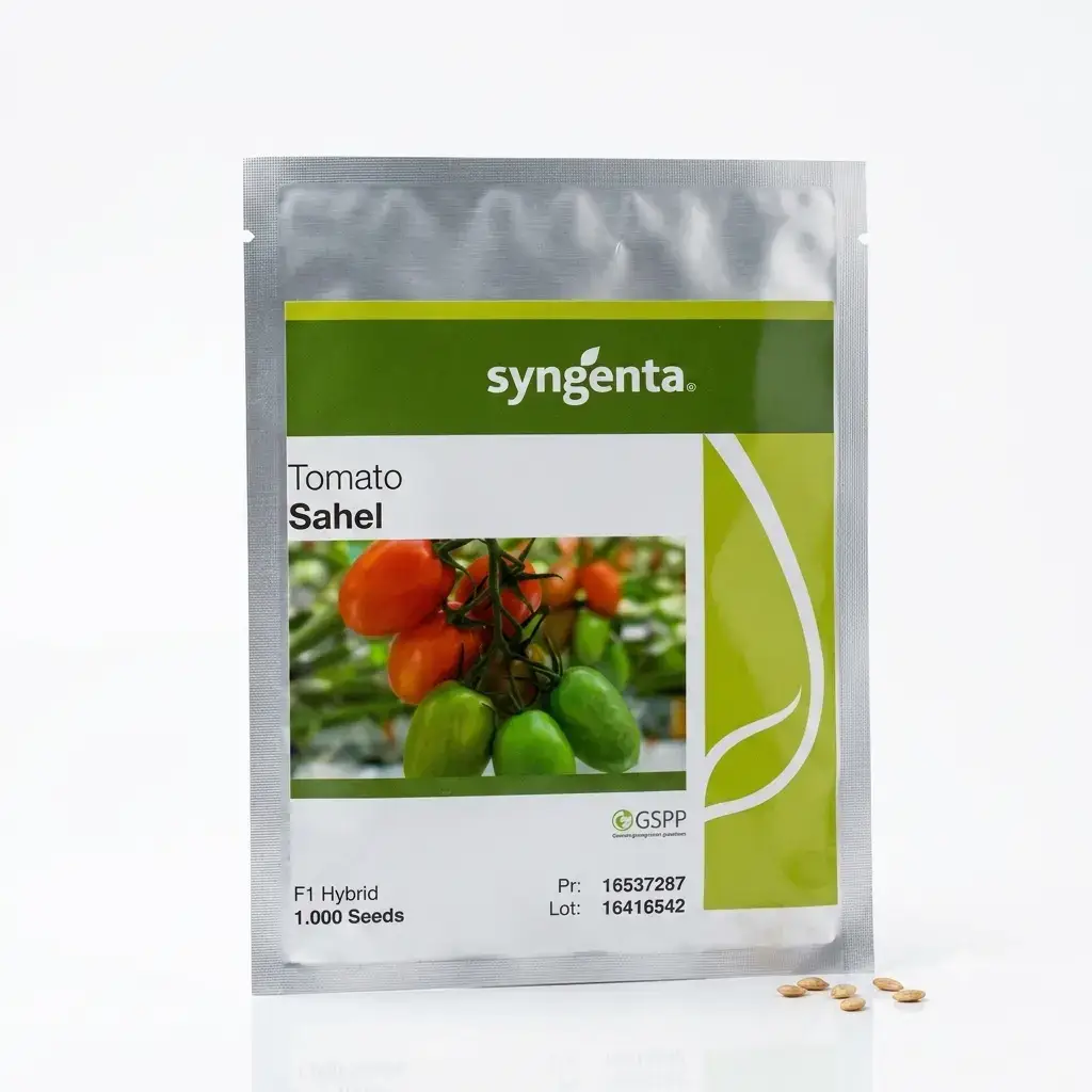 (ہائبرڈ ٹماٹر کا بیج) Sahel Tomato Hybrid F1 Seed Treated With Fludioxonil Imported Neherlands Bail Wala Tomato Climbing Tomato Seed 1000 Seeds 1000 Seeds - Syngenta Pakistan by Syngenta Seeds - Hybrid Seeds (Syngenta Sahel Tomato F1 seed price) Price in Pakistan Online | Kissan Cares - Label Detail Thumbnail