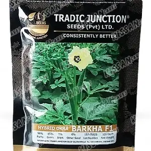 Barkha Okra Vegetable Seeds Limited F1 Hybrid Seed 100 g - Tradic Junction - Price in Pakistan Today (بھنڈی) - Hybrid Seeds (Hybrid seeds Pakistan) Price in Pakistan Online | Kissan Cares - Back View