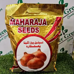 Onion Phulkara Payaz Beej Green Power Seeds Hybrid Seed 1kg - Maharaja Seeds - Price in Pakistan Today (پیاز) - Seeds (Hybrid seeds Pakistan) Price in Pakistan Online | Kissan Cares - Back View
