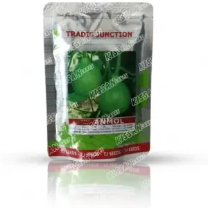 Anmol Kaddu Vegetable Seeds Limited Hybrid Seed 100 g - Tradic Junction - Price in Pakistan Today (کدو / لوکی) - Seeds (Hybrid seeds Pakistan) Price in Pakistan Online | Kissan Cares