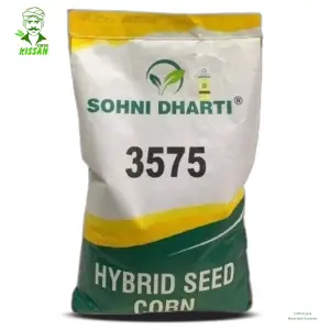 3575 Corn Sohni Dharti Best Corn For Silage Hybrid Seed 10kg - Sohni Dharti Seeds - Price In Pakistan Today (مکئی) - Hybrid Seeds (3575 Corn Sohni Dharti Seed) Price in Pakistan Online | Kissan Cares