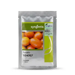 (ہائبرڈ ٹماٹر کا بیج) 1057 Tomato Hybrid F1 Seed Treated With Thiram And Carbendazim Tomato Seed 10gm - Syngenta Pakistan Limited by Syngenta Seeds - Hybrid Seeds (Syngenta 1057 tomato seed price) Price in Pakistan Online | Kissan Cares