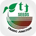 Tradic Junction