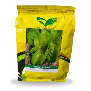 Spinach All Green Palak Amritsar Hybrid Seed 1kg - Amritsar Seed Corporation - Price In Pakistan Today (پالک) - Seeds (Spinach All Green Palak Amritsar Hybrid Seed 1kg price) Price in Pakistan Online | Kissan Cares - Back View