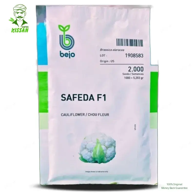 Safeda Cauliflower / Chou Fleur Bejo Gobi F1 Hybrid Seed - Millan Agro Seed - Price In Pakistan Today (گوبھی بیج) - Hybrid Seeds (Safeda Cauliflower F1 hybrid seed) Price in Pakistan Online | Kissan Cares - Back View Thumbnail