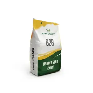 (ہائبرڈ مکئی بیج) 828 Hybrid Corn Seed Best For Silage And Grain Corn Maize Seed Single Cross 10kg - Sohni Dharti by Sohni Dharti Seeds - Hybrid Seeds (828 Hybrid Corn Seed price) Price in Pakistan Online | Kissan Cares