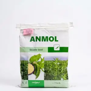 (تِل کا بیج) Sesame Seed Anmol Seasame Till Seed Pure Oranic White Sesame Seed Bushy Plant Sesame Th 05 Ts05 2kg - Combagro Evyol Kanzo by Evyol group - Seeds (Evyol Anmol Sesame Seed price) Price in Pakistan Online | Kissan Cares