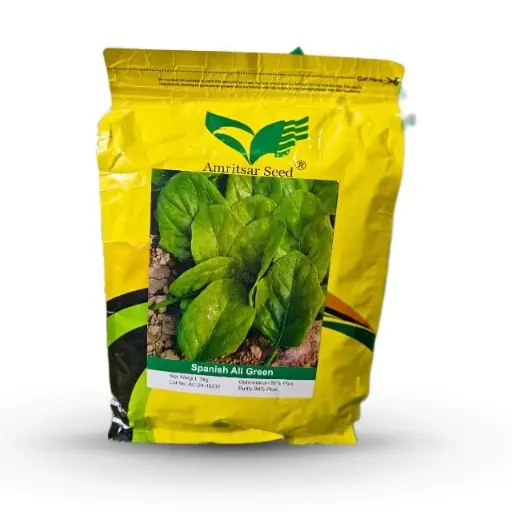 Spinach All Green Palak Amritsar Hybrid Seed 1kg - Amritsar Seed Corporation - Price In Pakistan Today (پالک) - Seeds (Spinach All Green Palak Amritsar Hybrid Seed 1kg price) Price in Pakistan Online | Kissan Cares - Back View Thumbnail