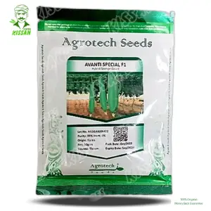 Avanti Sponge Gourd Tori Vegetable Agrotech F1 Hybrid Special Hybrid Seed 50 g - Price in Pakistan Today (بیج) - Hybrid Seeds (Hybrid seeds Pakistan) Price in Pakistan Online | Kissan Cares