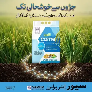 (زنک 27 فیصد) Corner Zinc 27 Percent Crop Supplement Zinc Sulfate Zn Micronutrients (zincstar Fmc) 3kg - Saver Enterprises - Pesticides (Corner Zinc 27 percent price Pakistan) Price in Pakistan Online | Kissan Cares - Back View
