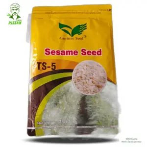 Seasame White Till Ts-5 Amritsar Corporation Hybrid Seed 1kg - Amritsar Seed Corporation - Price in Pakistan Today (تل) - Seeds (Hybrid seeds Pakistan) Price in Pakistan Online | Kissan Cares