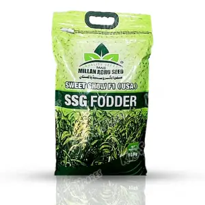 Sweet Chow (usa) Ssg Fooder Millan Agro F1 Hybrid Seed 10kg - Millan Agro Seed - Price in Pakistan Today (بیج) - Seeds (Hybrid seeds Pakistan) Price in Pakistan Online | Kissan Cares