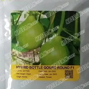 Bottle Gourd Kaddu Vegetable Kalash Seeds Pvt. Ltd. F1 Hybrid Round Hybrid Seed 50 g - Kalash Seeds pvt. Limited - Price in Pakistan Today (کدو / لوکی) - Hybrid Seeds (Hybrid seeds Pakistan) Price in Pakistan Online | Kissan Cares - Back View