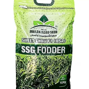 Sweet Chow (usa) Ssg Fooder Millan Agro F1 Hybrid Seed 10kg - Millan Agro Seed - Price in Pakistan Today (بیج) - Seeds (Hybrid seeds Pakistan) Price in Pakistan Online | Kissan Cares - Back View