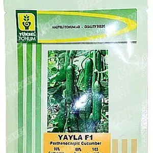 Yuksel Yayla Cucumber Vegetable Seeds Yuksel Tohem F1 Hybrid Seed - Price In Pakistan Today (کھیرا) - Hybrid Seeds (Yuksel Yayla cucumber seeds price Pakistan) Price in Pakistan Online | Kissan Cares - Back View