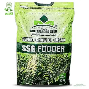 Sweet Chow (usa) Ssg Fooder Millan Agro F1 Hybrid Seed 10kg - Millan Agro Seed - Price in Pakistan Today (بیج) - Seeds (Hybrid seeds Pakistan) Price in Pakistan Online | Kissan Cares
