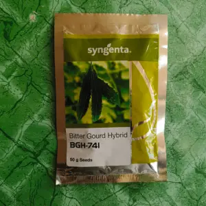 Bgh-741 Bitter Gourd Karela ( ) Hybrid Seed 50g - syngenta - Price in Pakistan Today (کریلا) - Hybrid Seeds (Hybrid seeds Pakistan) Price in Pakistan Online | Kissan Cares