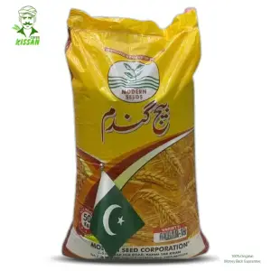 Akbar 19 Wheat Modern Corporation Hybrid Seed 50kg - KISSAN Cares - Price in Pakistan Today (گندم) - Seeds (Wheat rate today) Price in Pakistan Online | Kissan Cares