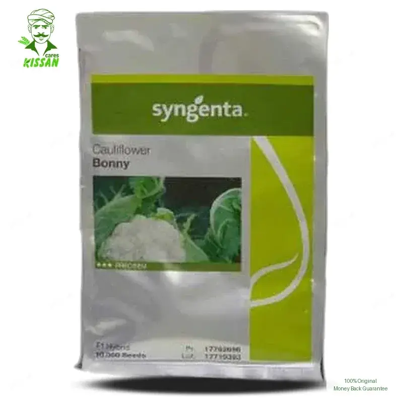 Bonny Cauliflower 10000 Syngenta Treated With Fludioxonil Phool Gobi Ghobi Bony Precisem F1 Hybrid Seed - Syngenta Seeds - Price In Pakistan Today (گوبی بیج) - Hybrid Seeds (Bonny Cauliflower 10000 Syngenta price Pakistan) Price in Pakistan Online | Kissan Cares - Back View Thumbnail