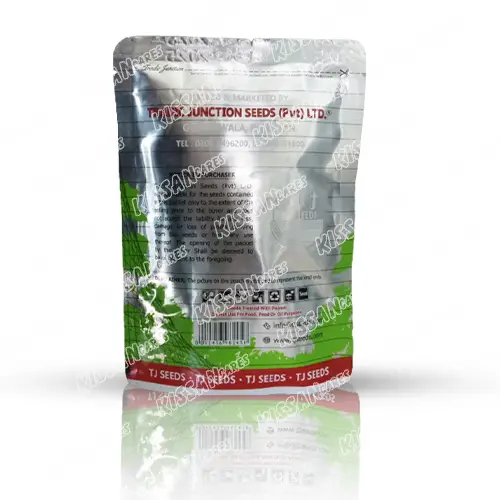 Anmol Kaddu Vegetable Seeds Limited Hybrid Seed 100 g - Tradic Junction - Price in Pakistan Today (کدو / لوکی) - Seeds (Hybrid seeds Pakistan) Price in Pakistan Online | Kissan Cares - Application View Thumbnail