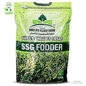 Sweet Chow (usa) Ssg Fooder Millan Agro F1 Hybrid Seed 10kg - Millan Agro Seed - Price in Pakistan Today (بیج) - Seeds (Hybrid seeds Pakistan) Price in Pakistan Online | Kissan Cares - Back View