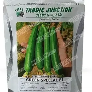 Sponge Gourd Green Vegetable Seeds Limited F1 Hybrid Special Hybrid Seed 50 g - Tradic Junction - Price in Pakistan Today (بیج) - Hybrid Seeds (Hybrid seeds Pakistan) Price in Pakistan Online | Kissan Cares - Back View