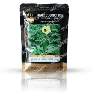 Barkha Okra Vegetable Seeds Limited F1 Hybrid Seed 100 g - Tradic Junction - Price in Pakistan Today (بھنڈی) - Hybrid Seeds (Hybrid seeds Pakistan) Price in Pakistan Online | Kissan Cares