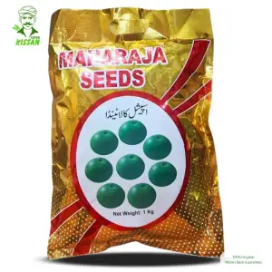 Maharaja Black Tinda Kala Tinda Special Seed 1kg - Maharaja Seeds - Price In Pakistan Today (ٹنڈا) - Hybrid Seeds (<p>Kissan Cares) Price in Pakistan Online | Kissan Cares