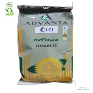 Hysun 33 Advanta Ici Pakistan Sunflower Pacific Seeds Suraj Mukhi Sun Flower Ici Lci Lucky Core Industries F1 Hybrid Seed 2kg - (lci) Lucky Core - Price In Pakistan Today (سورج مکھی) - Hybrid Seeds (Hysun 33 hybrid seed price) Price in Pakistan Online | Kissan Cares