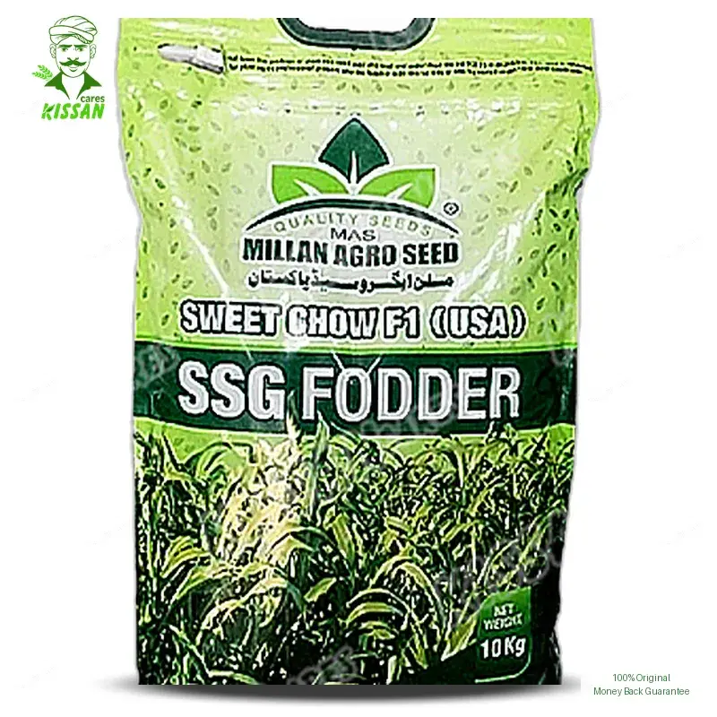 (بیج) Sweet Chow (usa) Ssg Fooder Millan Agro F1 Hybrid Seed 10kg - Millan Agro Seed - Seeds (Hybrid seeds Pakistan) Price in Pakistan Online | Kissan Cares - Back View Thumbnail