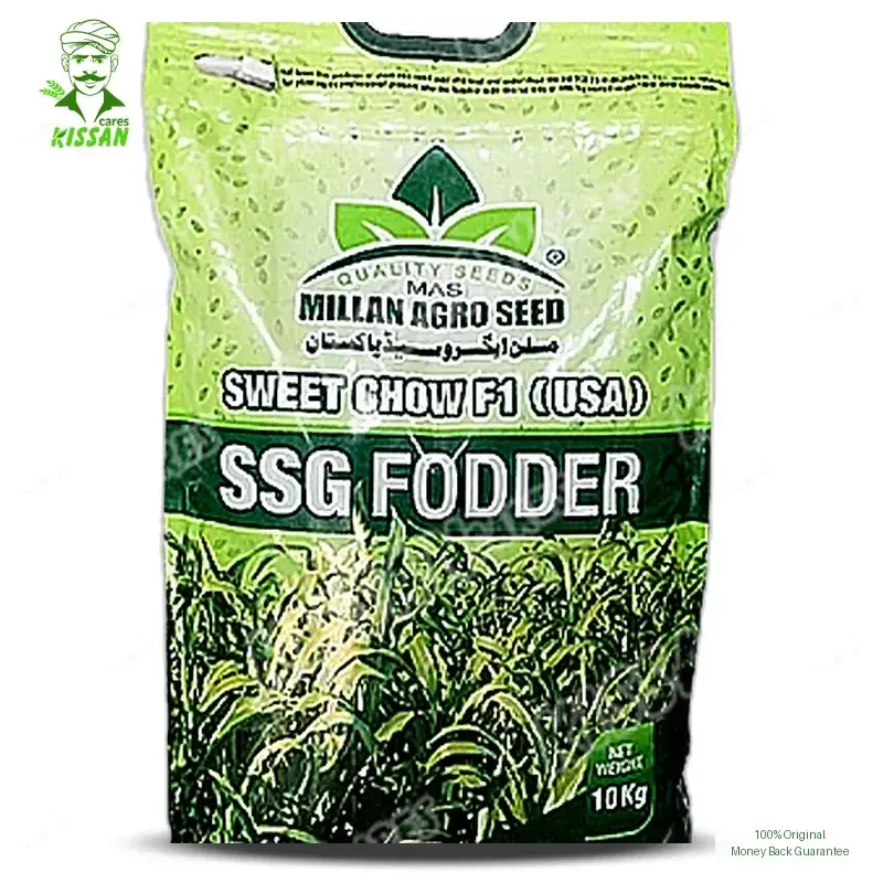 (بیج) Sweet Chow (usa) Ssg Fooder Millan Agro F1 Hybrid Seed 10kg - Millan Agro Seed - Seeds (Hybrid seeds Pakistan) Price in Pakistan Online | Kissan Cares